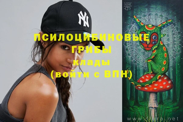apvp Балахна