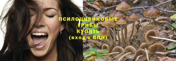 apvp Балахна