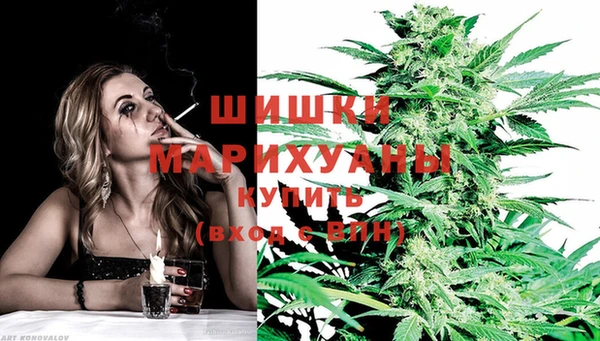 дурь Семилуки