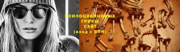 apvp Балахна