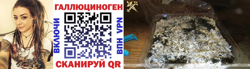 Галлюциногенные грибы MAGIC MUSHROOMS Сортавала