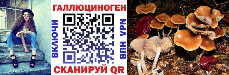 Галлюциногенные грибы Cubensis  наркота  Сортавала 